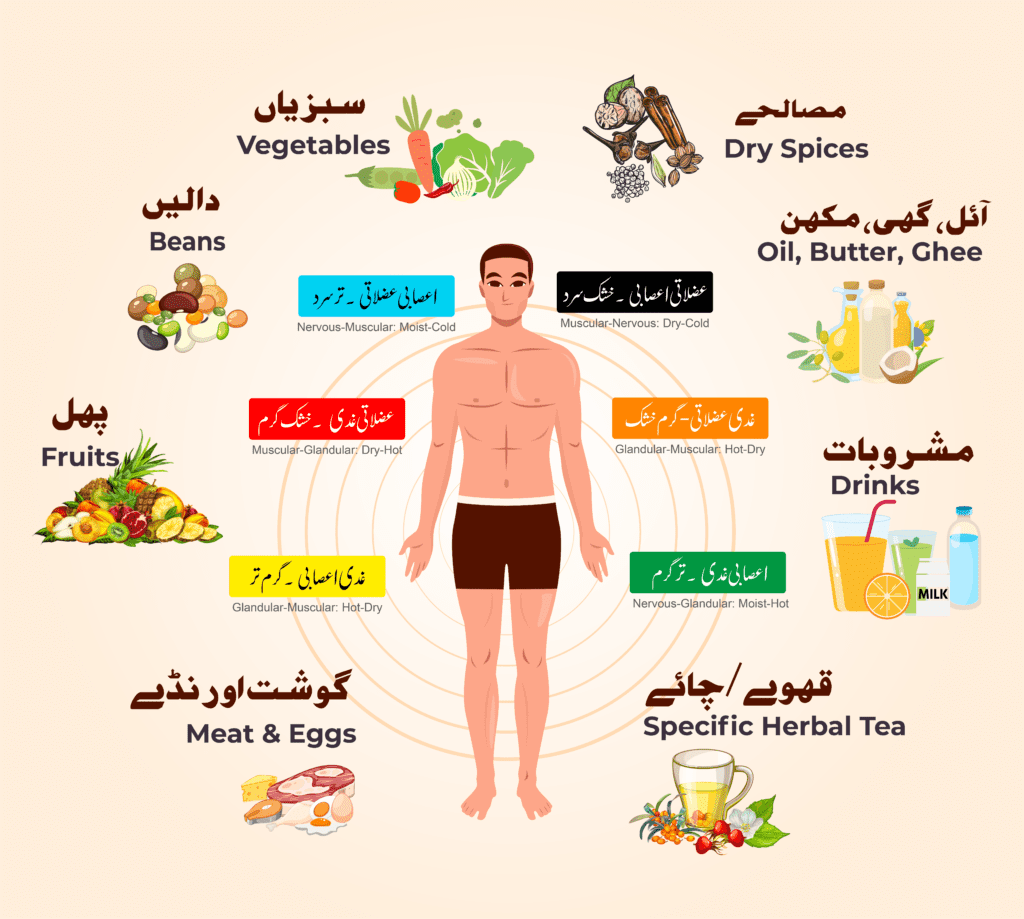 diets mobile