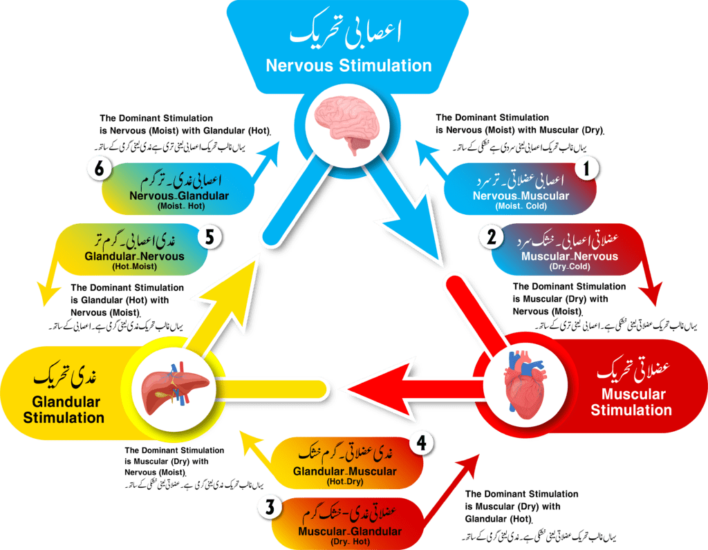 sot six stimulation chart